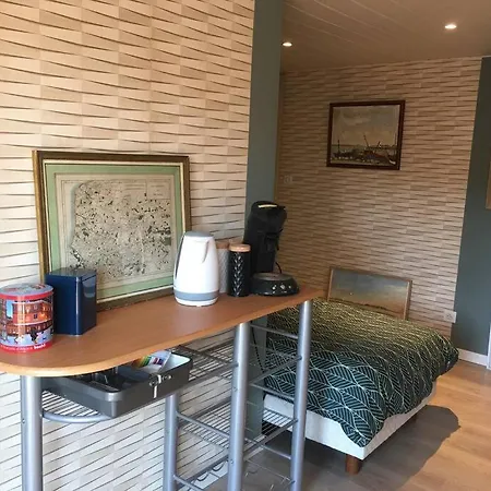 Petite Dependance Alsacienne Avec Toit Terrasse Apartamento