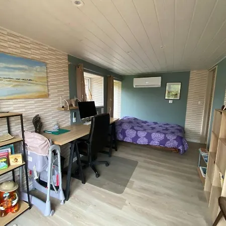 Petite Dependance Alsacienne Avec Toit Terrasse