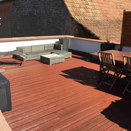 Apartment Petite Dependance Alsacienne Avec Toit Terrasse Mietesheim