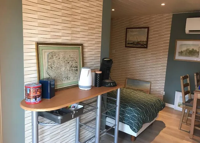 Petite Dependance Alsacienne Avec Toit Terrasse Daire